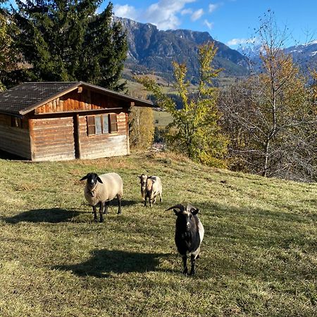 Encia'S Home Dolomiti Castello-Molina di Fiemme Bagian luar foto
